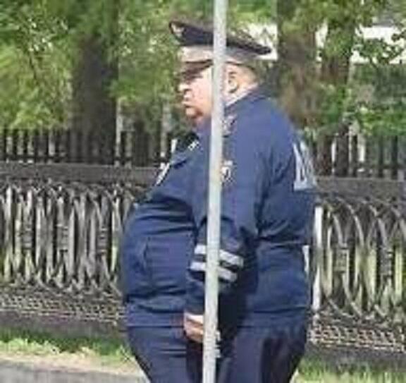 ТВОЙ ГНЕДОЙ СТОИТ В КУСТАХ