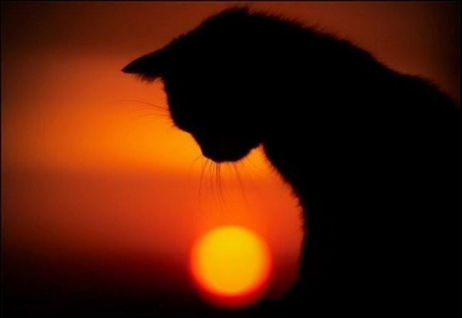 Я друга предала!