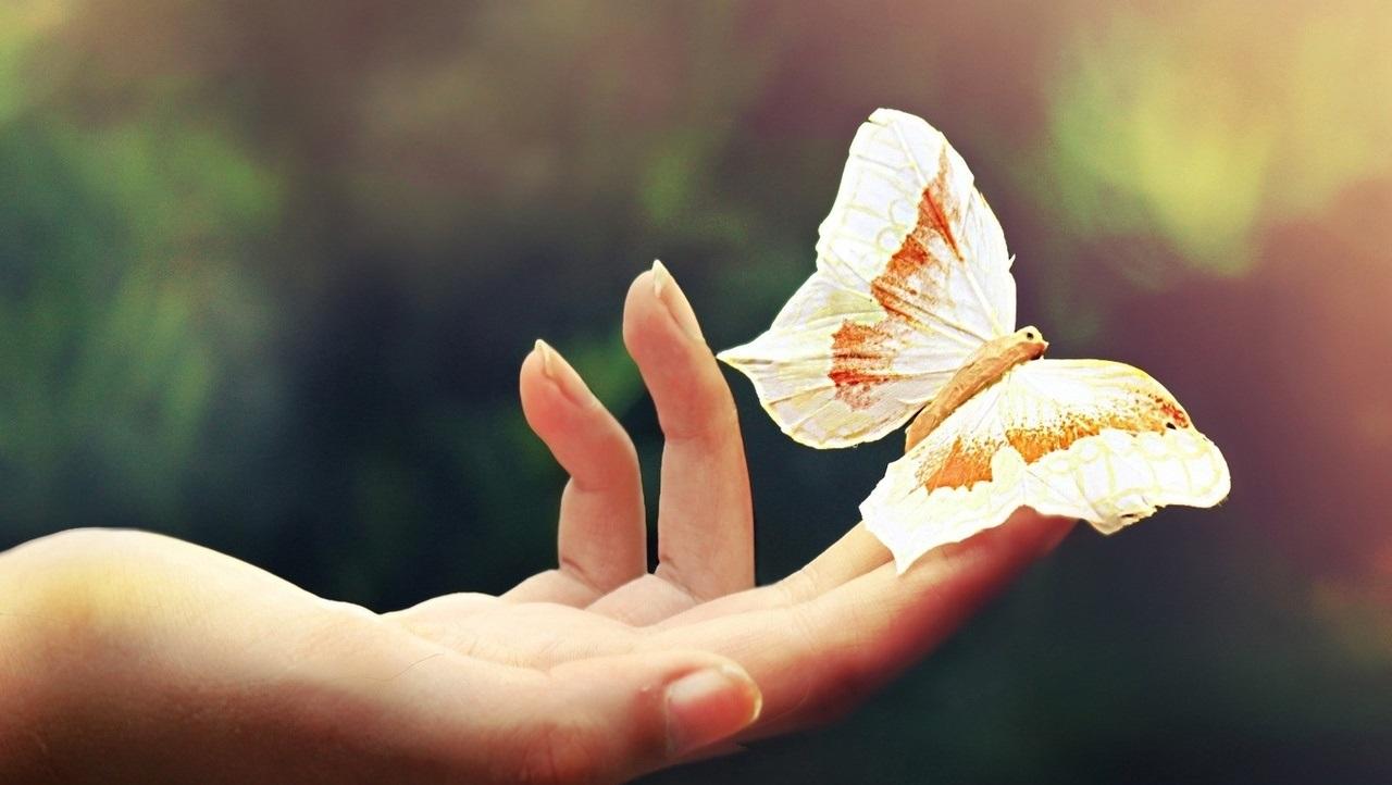 что такое счастье?