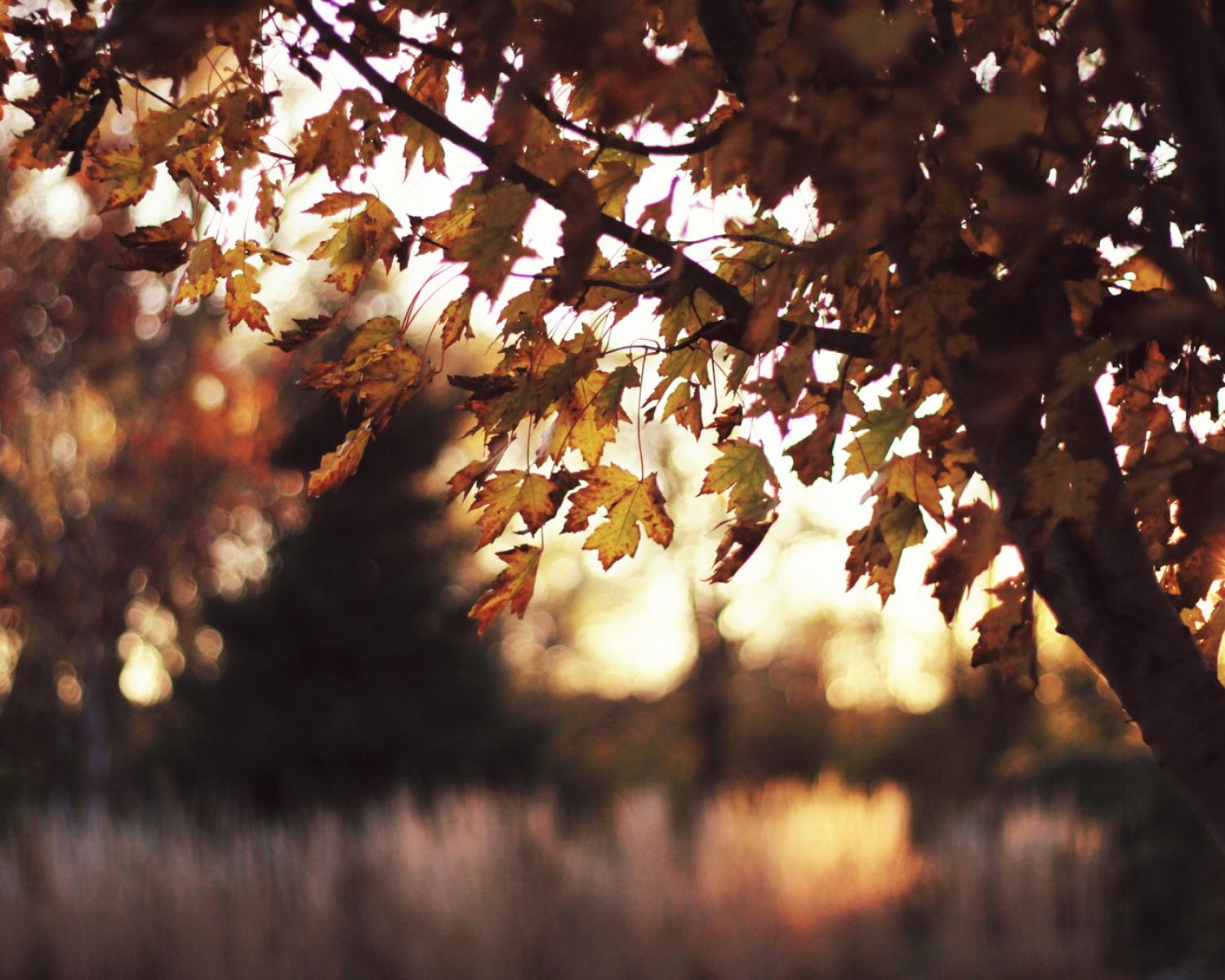 Слепая любовь