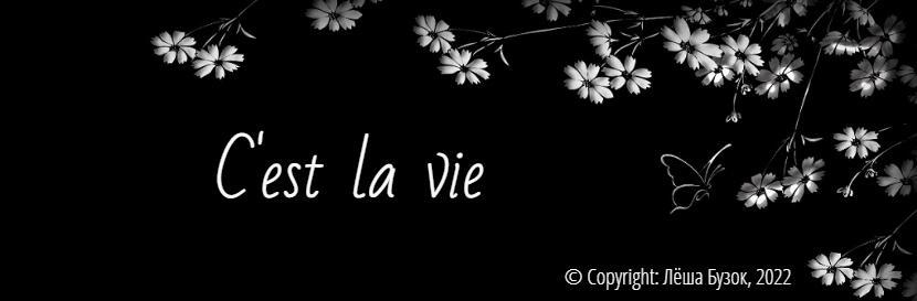 C est la vie