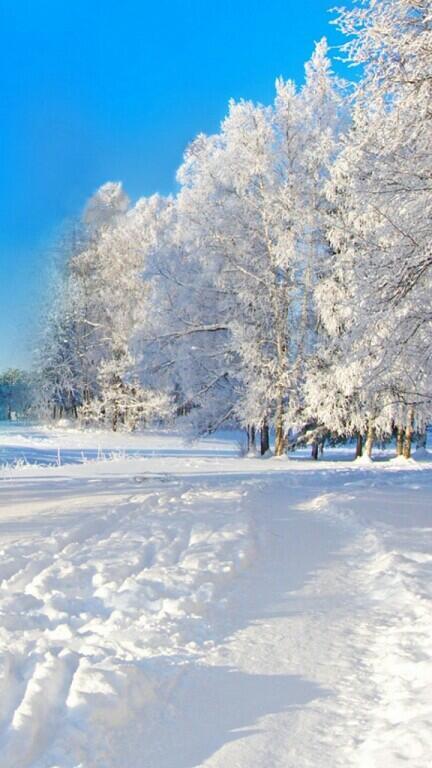 Снежная зима