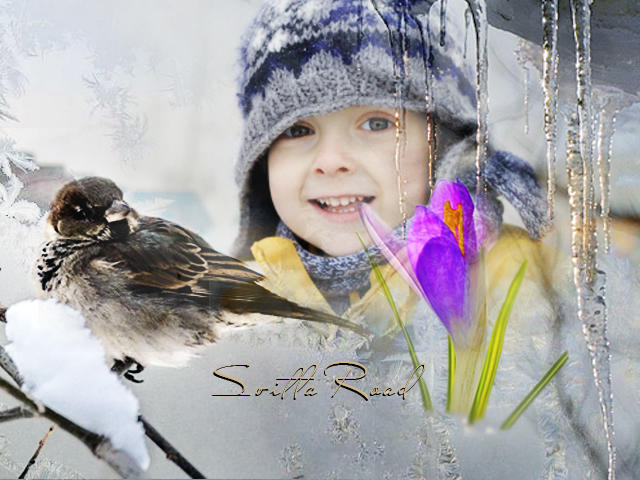 Весна стучится к нам ручьями