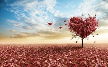 Всё могло бы сбыться...