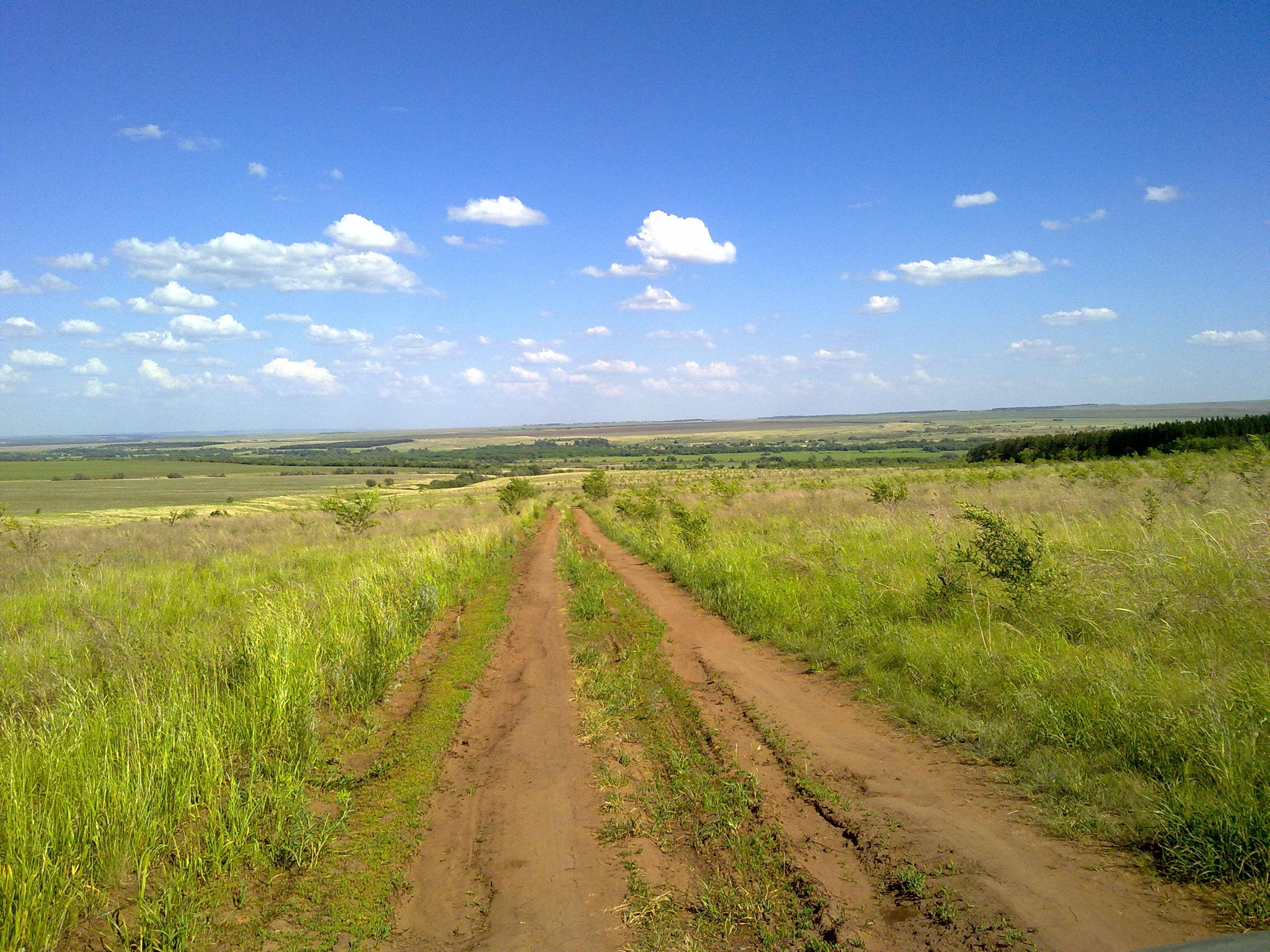 ЛЮБЛЮ  ЭТУ  СТЕПЬ...    фото