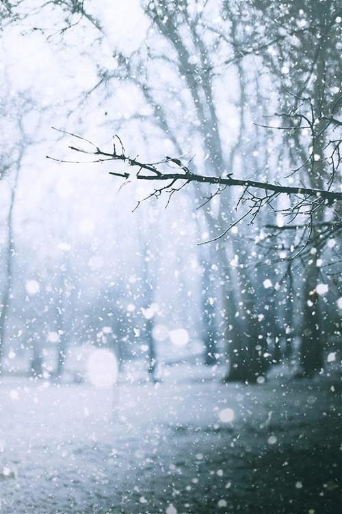 Первый день зимы