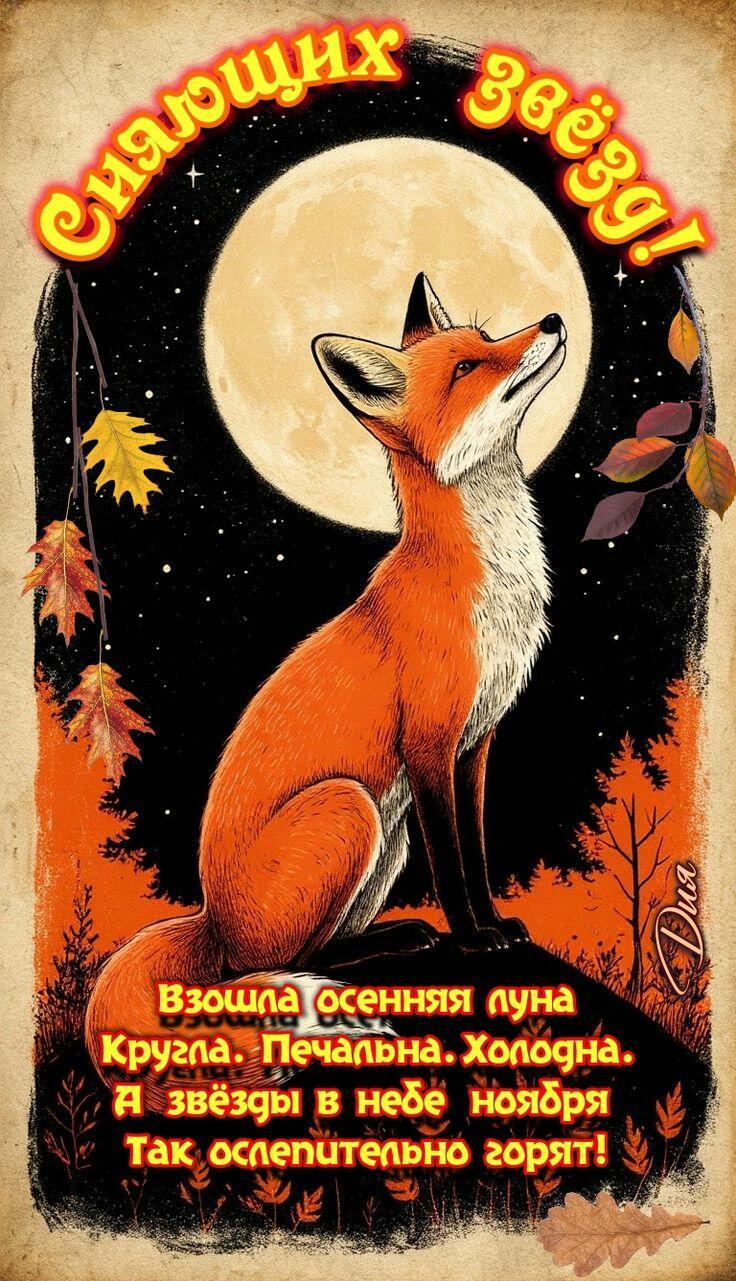 Ноябрьский эскиз - пейзажная лирика