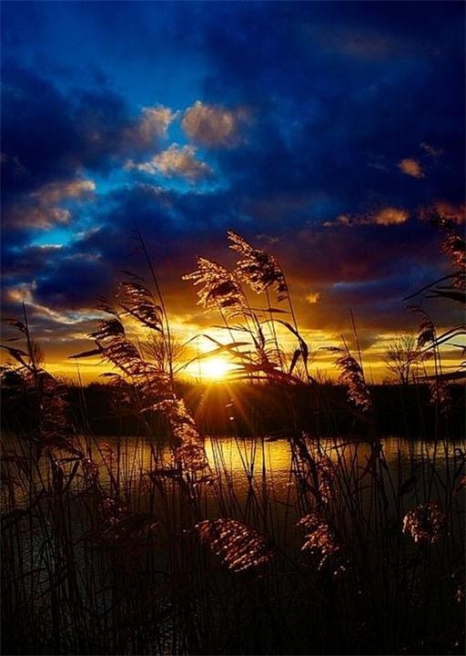 Память сердца