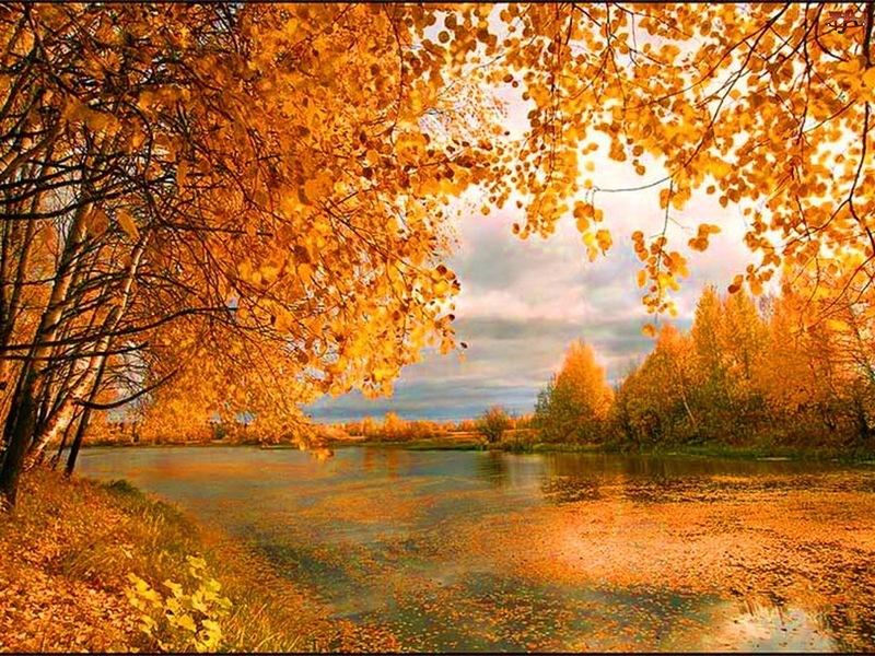 НЕ ГРУСТИ, Я ПРОШУ ТЕБЯ, ОСЕНЬ