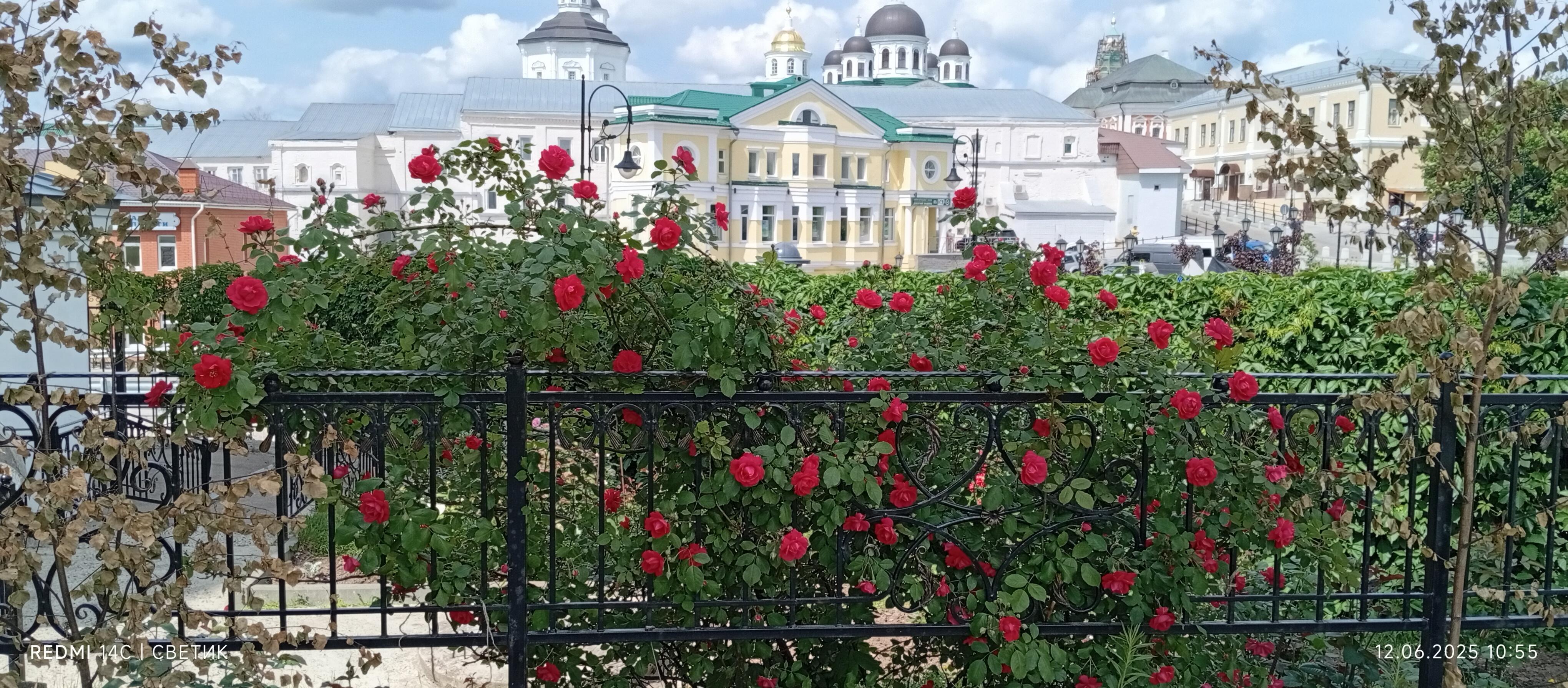 С днём России...