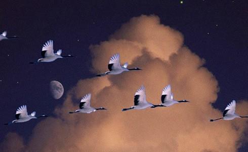 Они без имени...