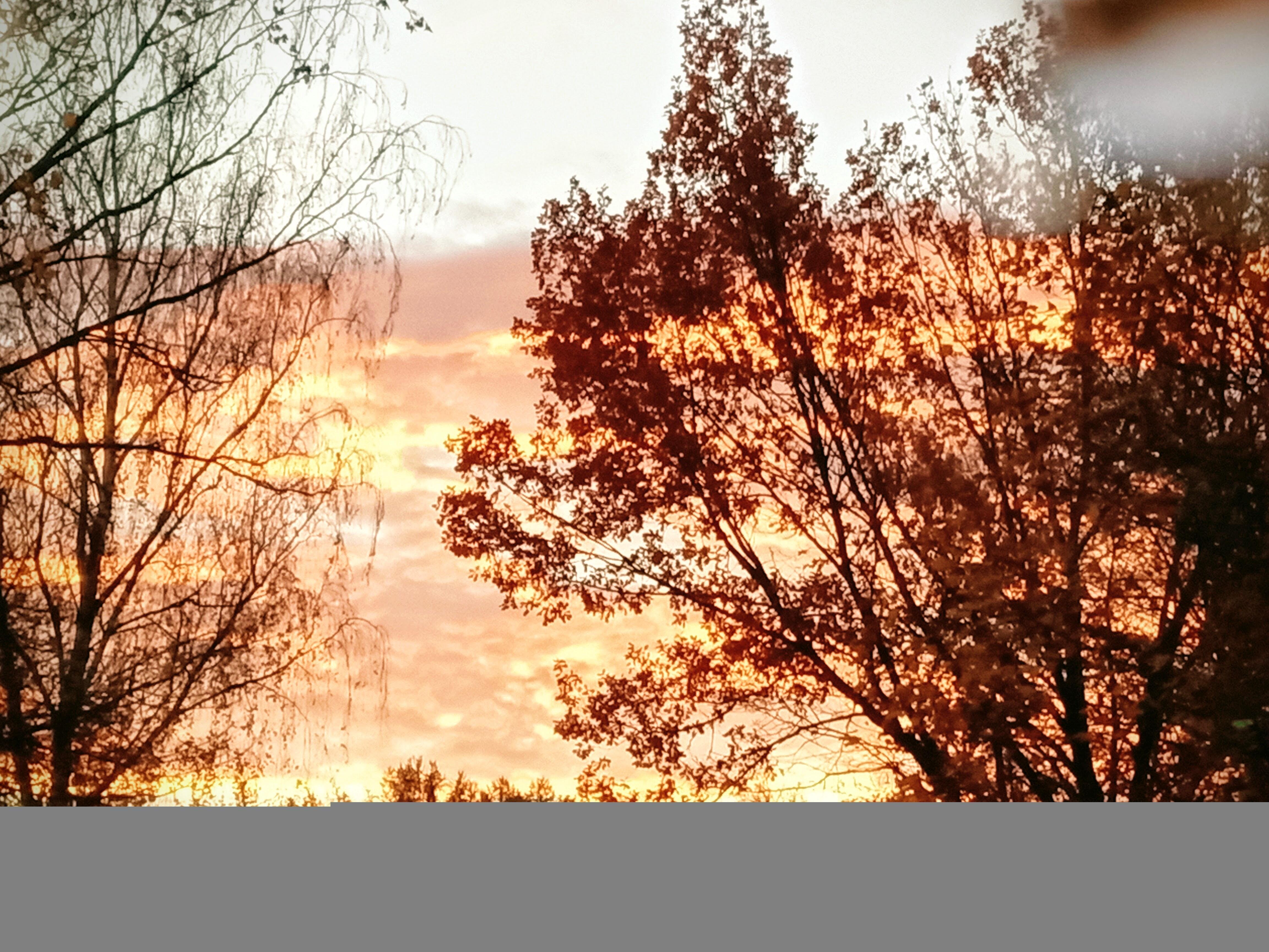 Неудержимый жизни ход