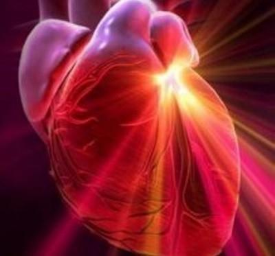 Сердечная дружба