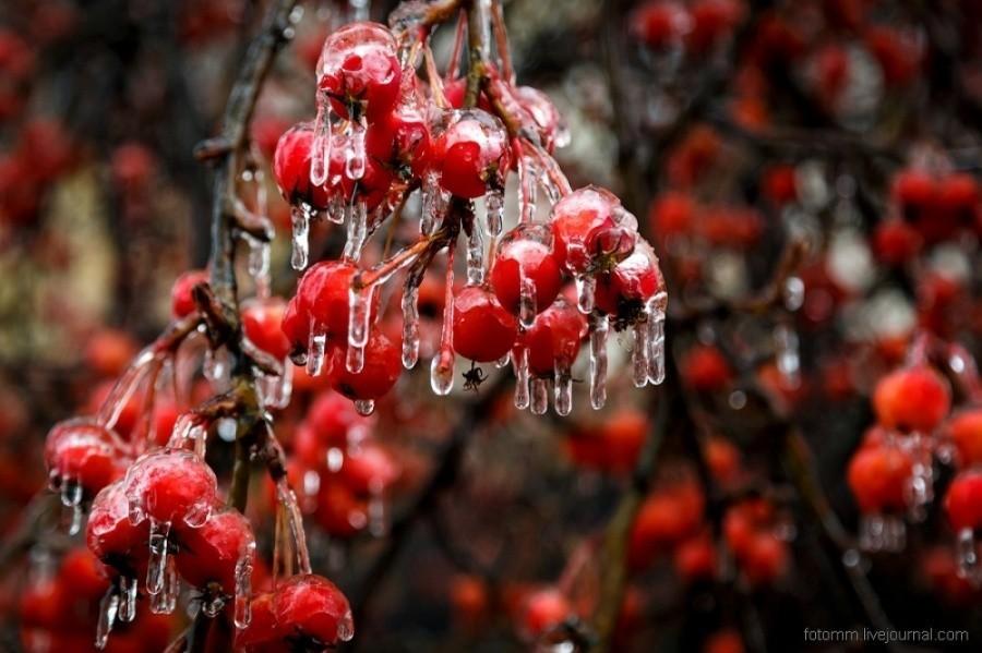 Невидимая красная нить соединяет тех, кому суждено