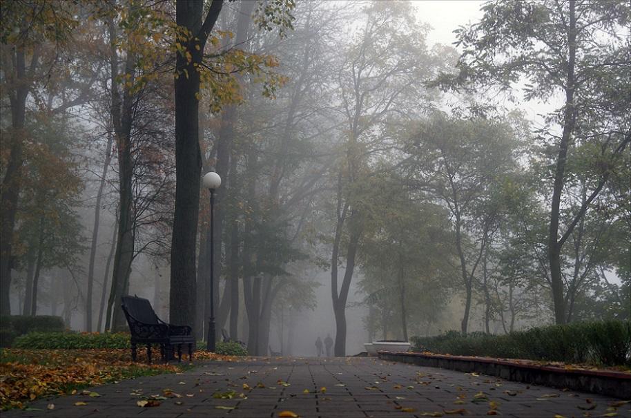 "Осенние туманы" (13.09.2017)