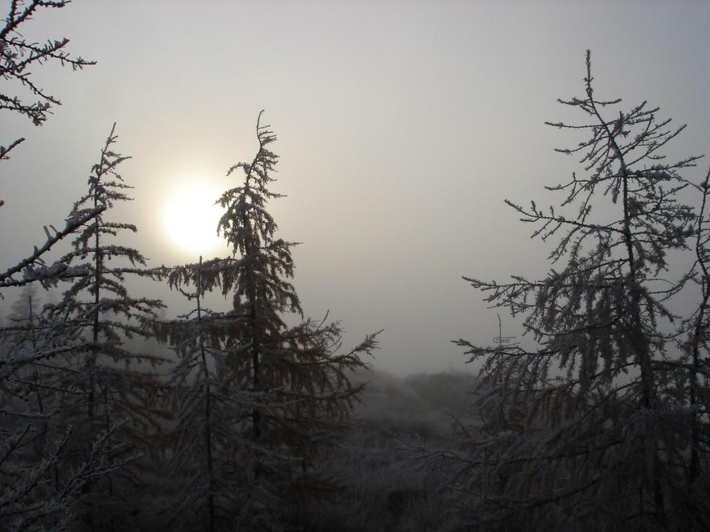 Конец эпохи (Лутц Зайлер)