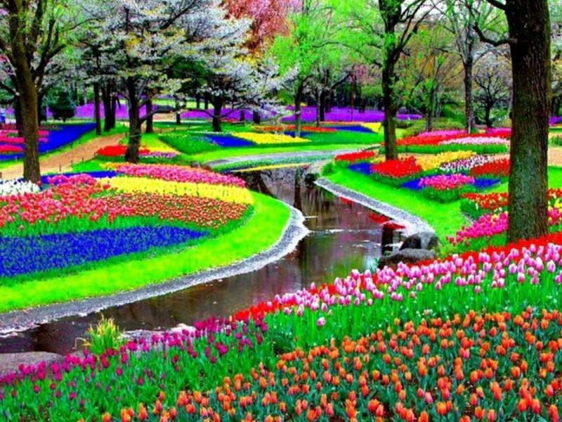 Мой мир без чёрных красок