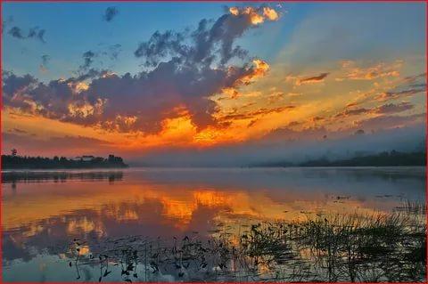 Говорят, июнь крадёт покой