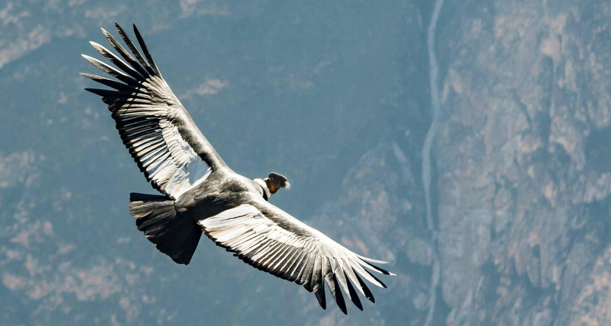 Я тоже иногда во сне летаю