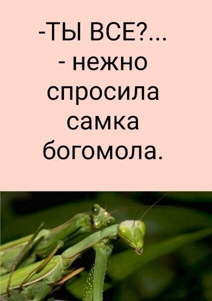 САМКА