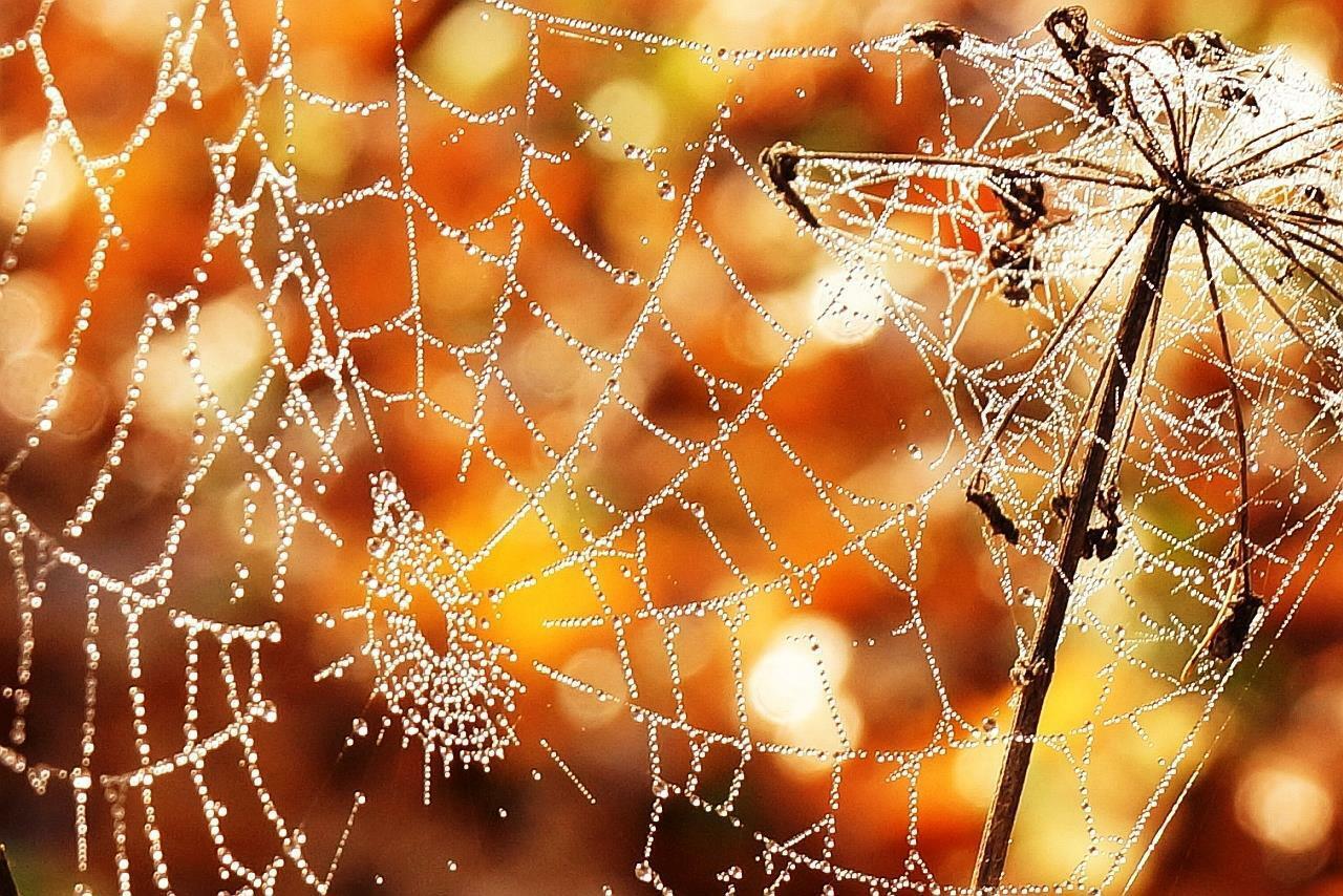 Осенний этюд