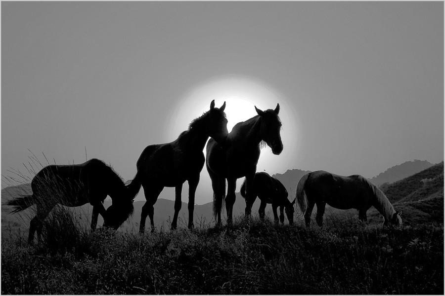 Минуты счастья