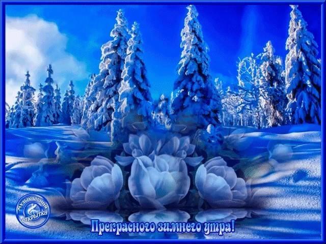 Зимнее утро