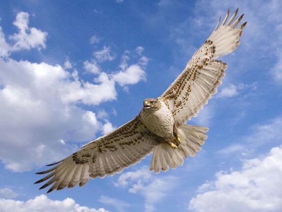 Сохрани мою грешную душу