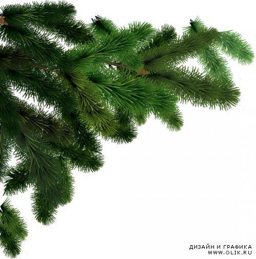 Тапки на еловые лапки