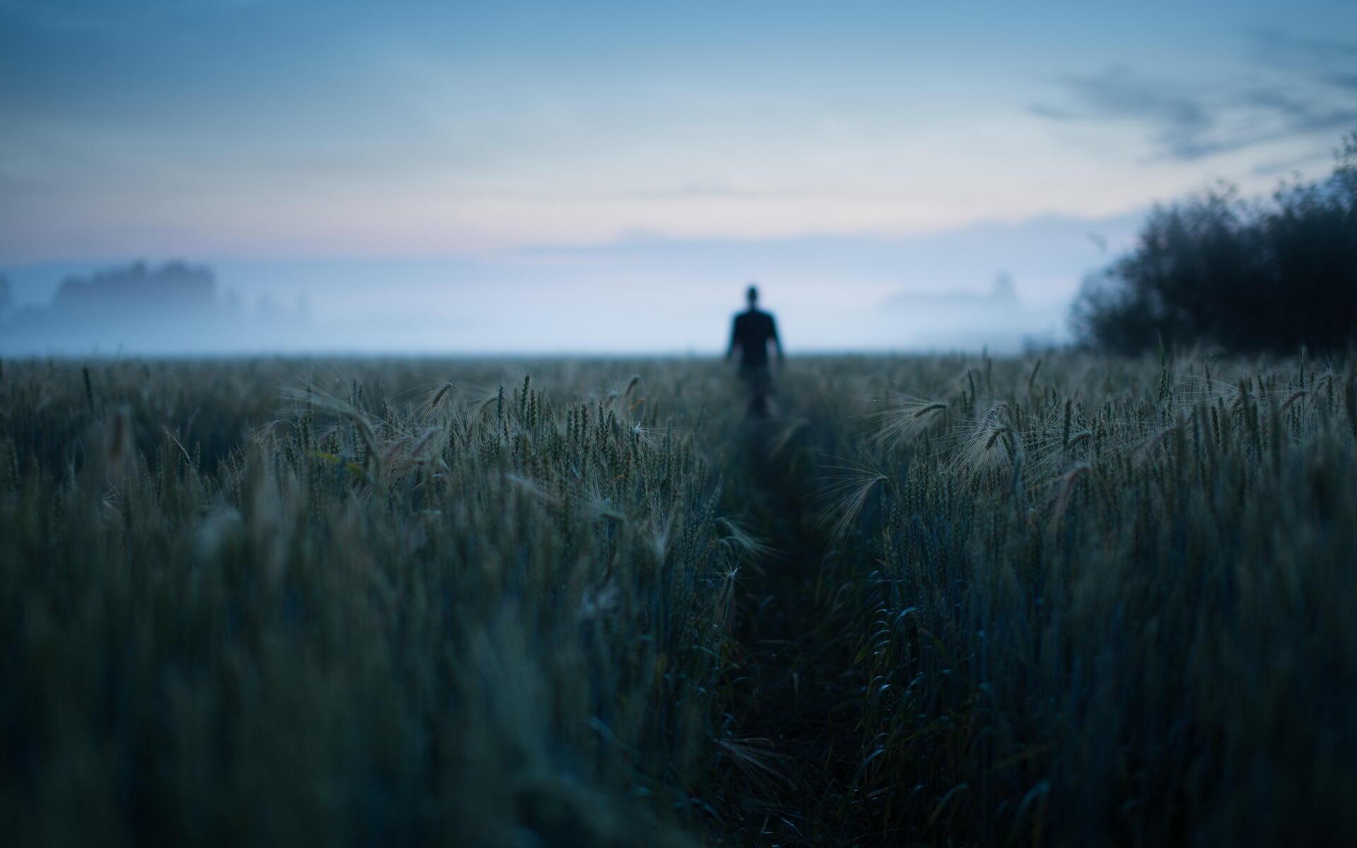 "Любовь - выбирает достойных..." (27.08.2020)