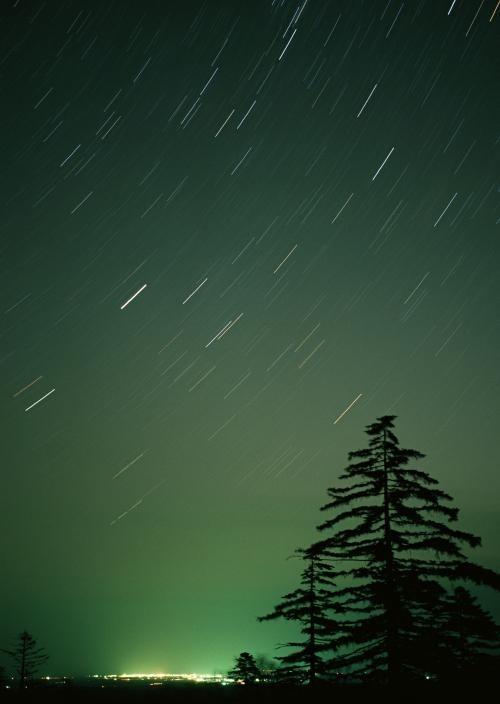 Lied aus dem Schlaf 2