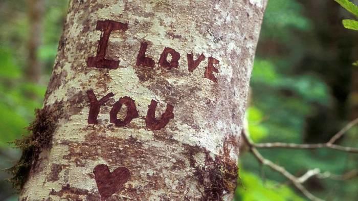 Русские березы