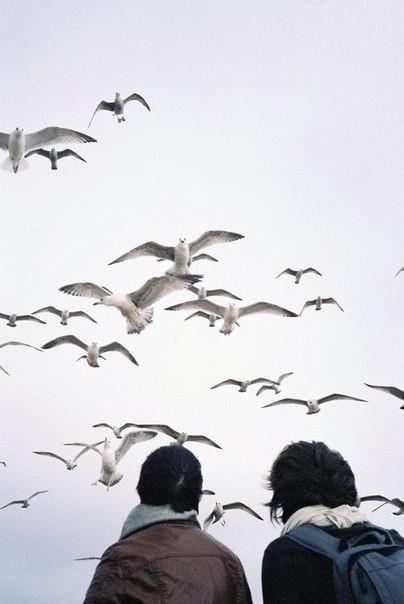 Осень ведь тоже любит.