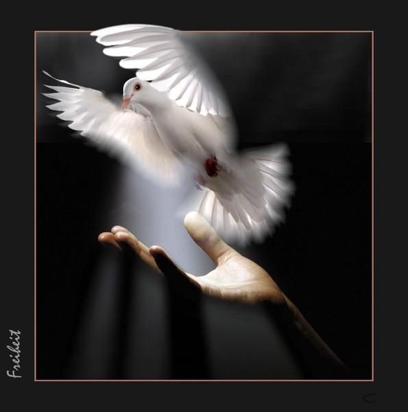 И СНОВА О ДОБРОТЕ