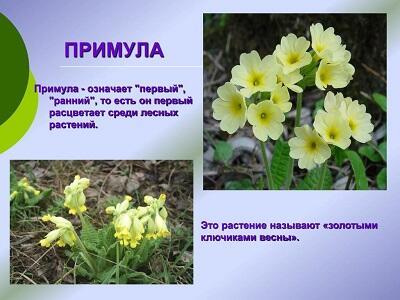 Ключи от рая