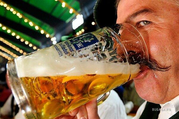 "Мне по усам течет. Но я там вытру".  Антиалкогольные стишата