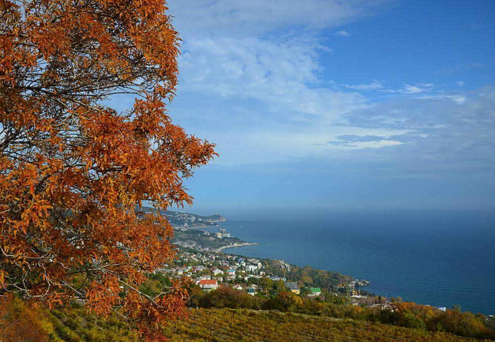 Ноябрьское тепло юга (проза)