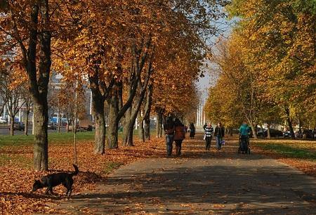 В нашем городе Осень...