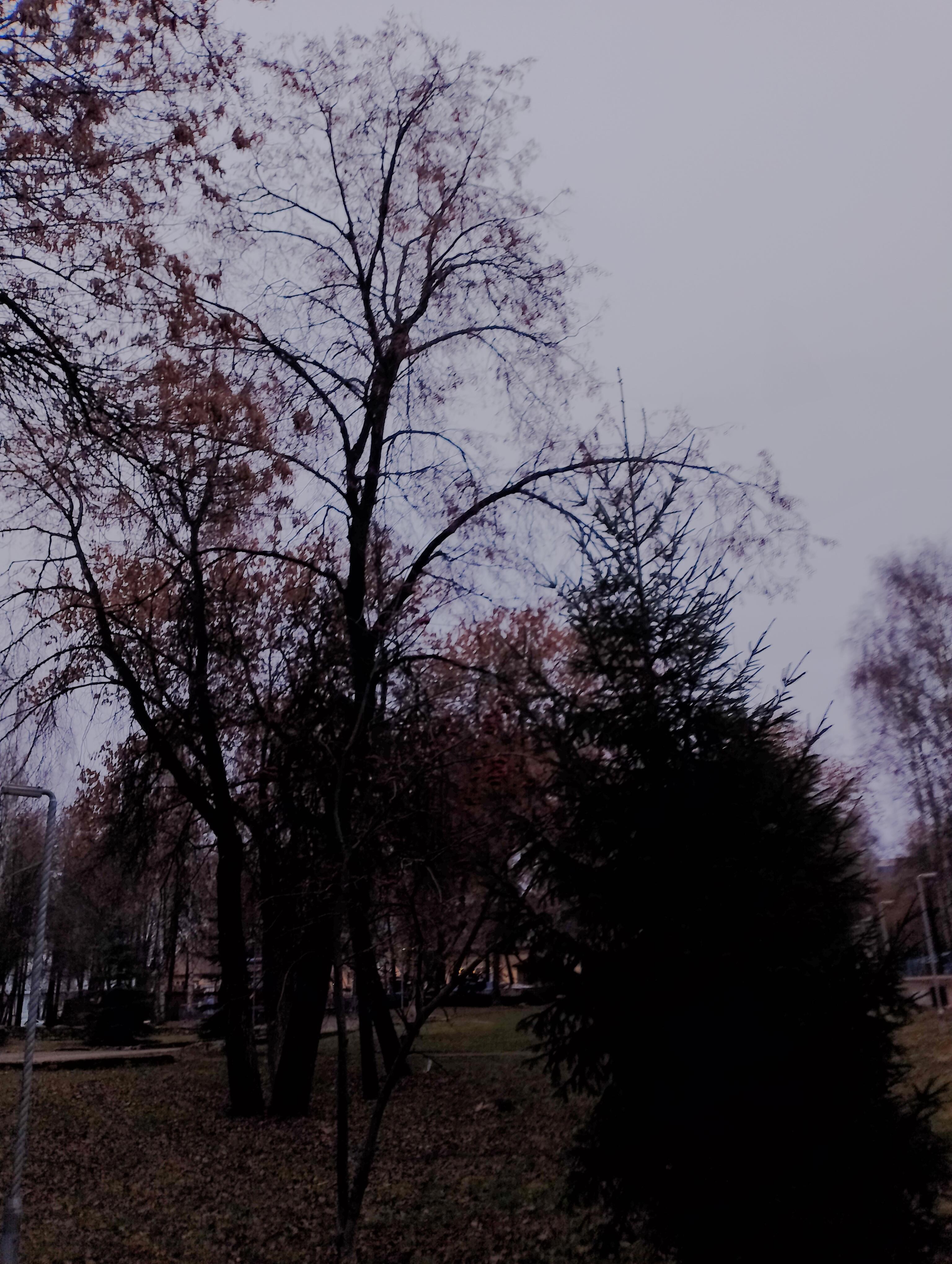 Простите Боги бабку пустомелю