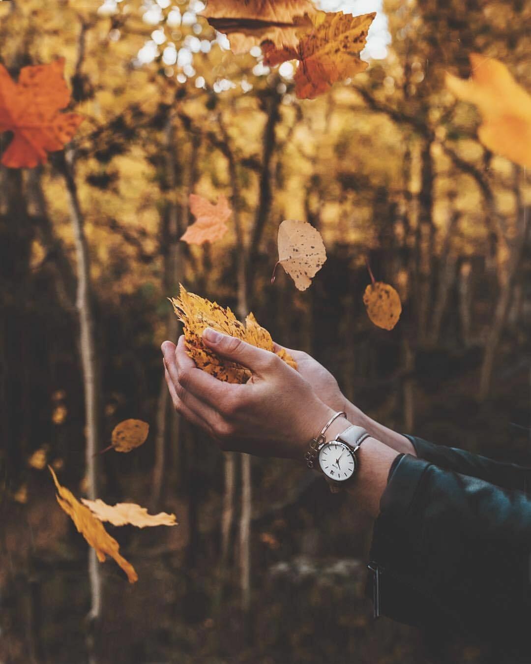 Осенняя грусть.