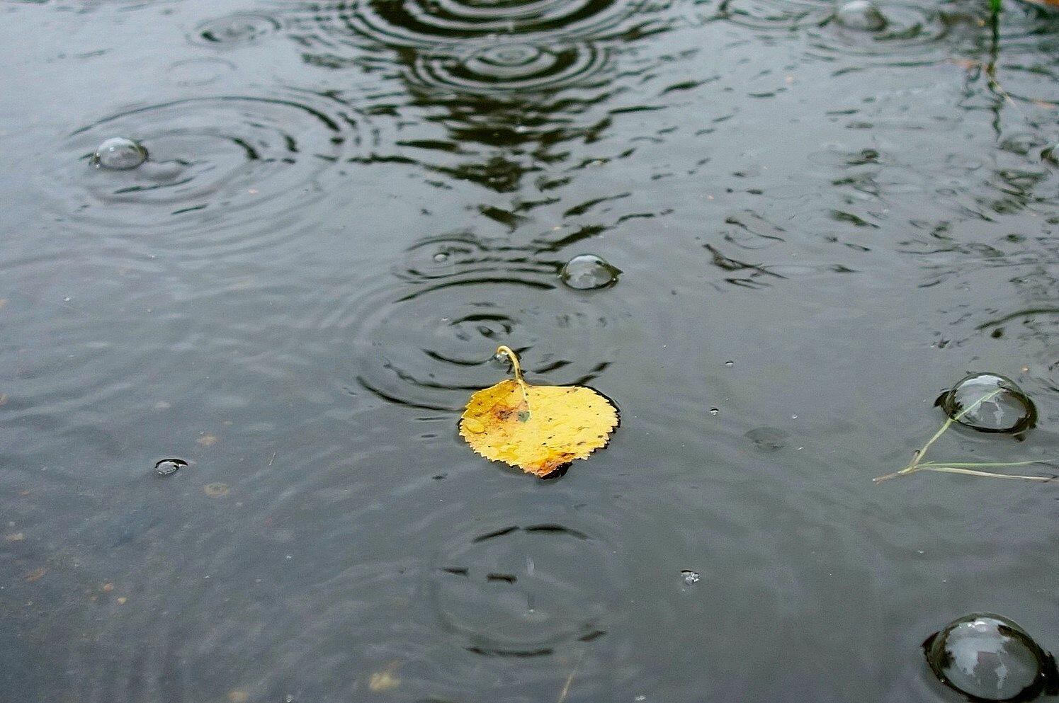 "На дно" (22.11.2020)