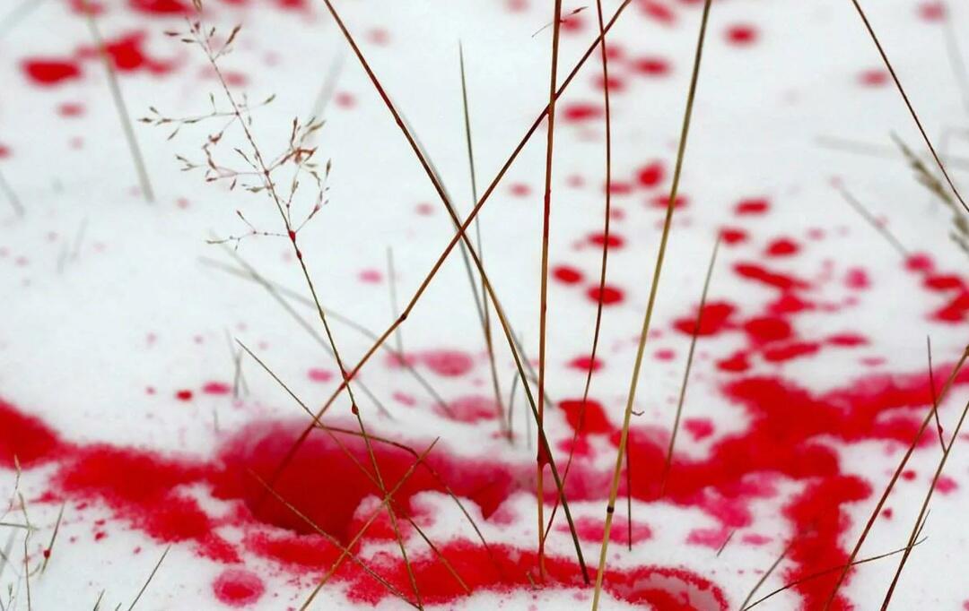 Мой последний март