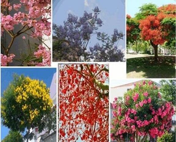 МАЙСКИЙ БУКЕТ