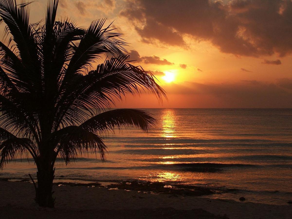 Время увидеть придёт