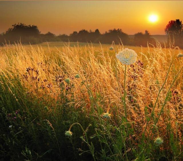 Жарко. Душно. Тоскливо.