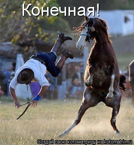 Анна Каренина:Фру-Фру объявила забастовку!