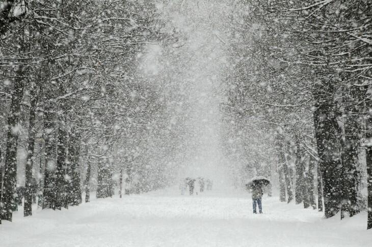 Снегопад в карелии фото