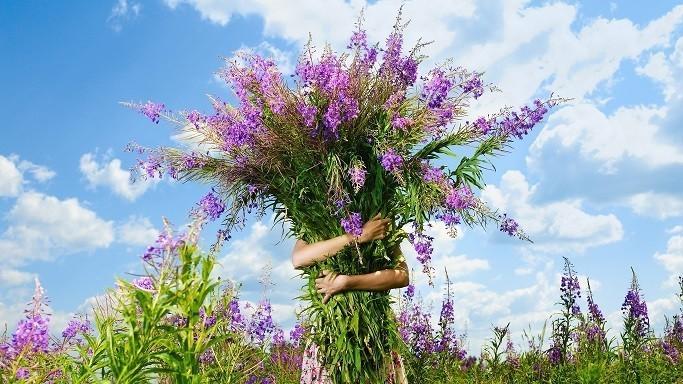 Цветы для тебя.