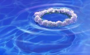 Дорога, ведомая вечностью