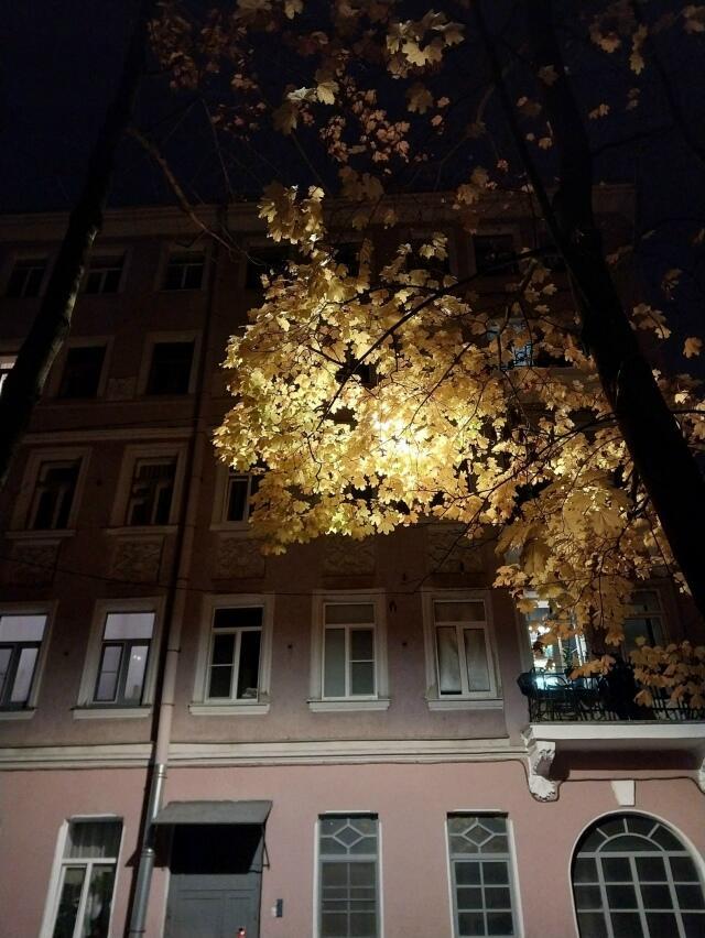 Пока не гаснут фонари